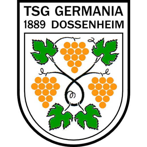 Logo TSG Dossenheim